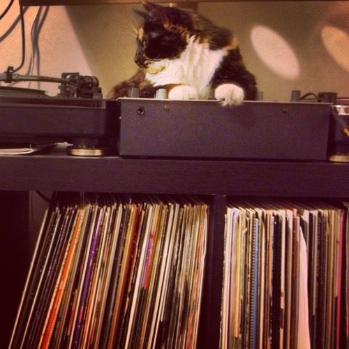 Physiotherapist, runner, music lover.