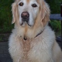 Sarah Elliott Ramsay - @ElliottRamsay - Twitter