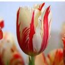 Lori Branch - @AnnB78 - Twitter