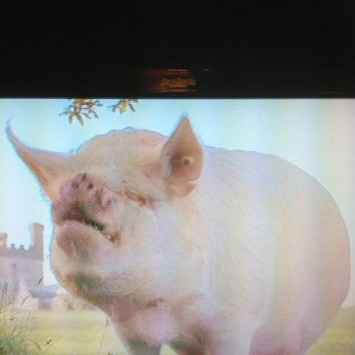 mikereid2013's profile picture. 