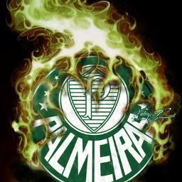 Palmeiras minha vida é você