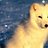 anuskiz's profile image