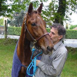 Pas de langue de bois. La VÉRITÉ comme priorité ! Passions : sport, chevaux, courses, foot, etc... Journaliste indépendant !  N'engage aucun autre média🙏🏽