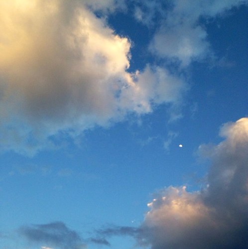 rawshooter168's profile picture. 