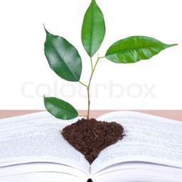 Madina_BookClub's profile picture. #نادي_القراءة #سكراتش #المدينة_المنورة