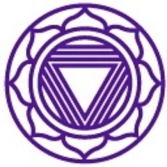 yogahOMe's profile picture. Cincinnati's only yoga studio with 3 locations; Oakley, Mariemont & Symmes Township! 

We offer hot, gentle, restorative yoga-come check us out!