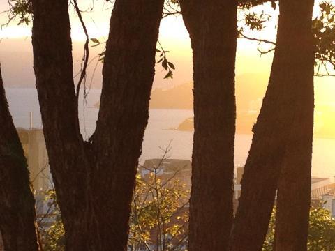 SarahCBoyle's profile picture. 