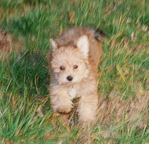 Meredee333's profile picture. note: my likes/retweets are not necessarily an endorsement of the account. Even dumb ppl can say smart s#!@t sometimes.  I also like smart ppl's tweets, too. :)