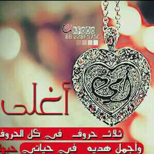 'الوحيده بـ عبارة _أنا من بعدكِ أضيع_؟ 
  هي أمي والبقيّه ف حفظ الله.