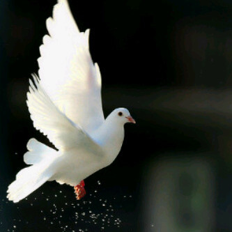 gza_511's profile picture. 