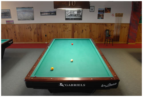 BisonBilliards's profile picture. 