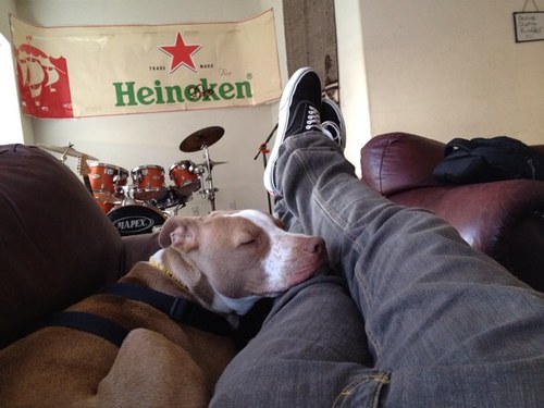 Rollin_Right's profile picture. 