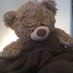 Hippo (@hippoyip) Twitter profile photo