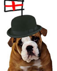 littleenglander's profile picture. I was the Guardian Unlimited sports desk dog until THEY sent me away