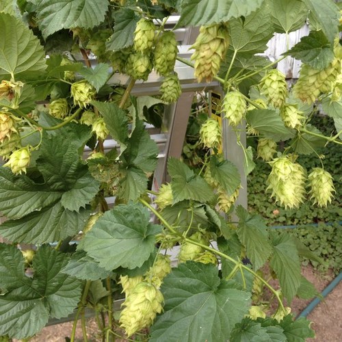 Matt_Lind's profile picture. 