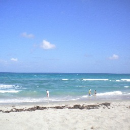 rayshell09's profile picture. 