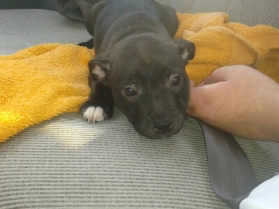 StaceyLakeman's profile picture. 