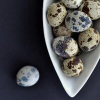 Anne Waters 🇨🇦 🌾 (@amwaters) 's Twitter Profile