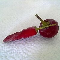 Ugo Fabbri (@ugofabbri) 's Twitter Profile