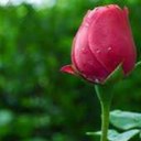 اكتب حريتي بدمي (@11bahrania) Twitter
