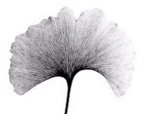 branddesignory's profile picture. beauty branding at its best