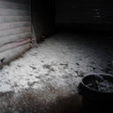 rodney allen ewing - @rodneyallenewin - Twitter