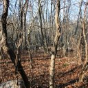 Harrison Koch - @harrydkoch - Twitter