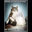 Dan Manning - @Dan500100 - Twitter