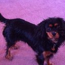 Gail Connell - @GailConnell2 - Twitter