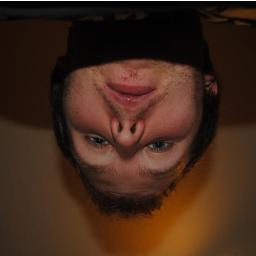 guisefle's profile picture. 