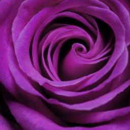 Violett_Rose1's profile picture. 