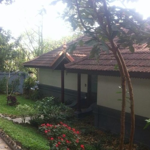 kkksss321's profile picture. 