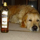 James Niblock - @JamesNiblock1 - Twitter