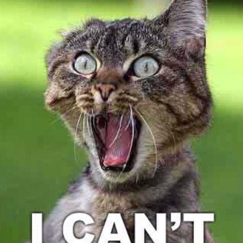 thedixie420's profile picture. 