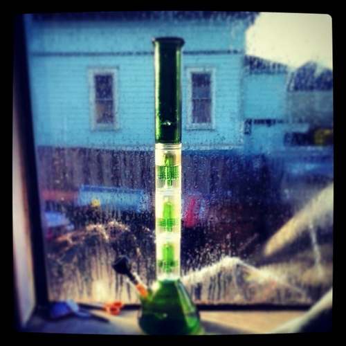 Smoke Tree's Daily!