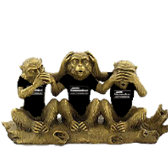 mateoganzuando's profile picture. https://t.co/utvMbgcL0y