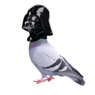 #TeamFollowBack. Join the Dark Side and follow me. I'm the Dark Lord, so love my dark comedy. ***Parody*** #TeamDarkSide