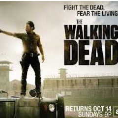 dailyWDead's profile picture. Instagram : @dailywalkingdead