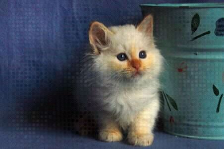 GaByLiNa1's profile picture. 