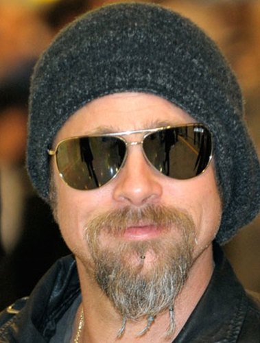 life is good when you're Brad Pitt's facial hair.