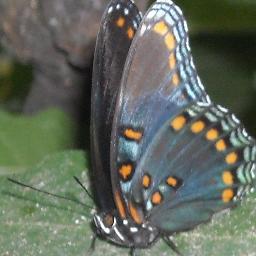 row9098's profile picture. 