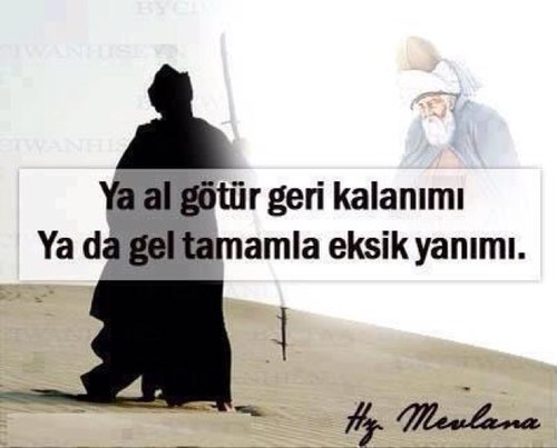 mcgicik's profile picture. 