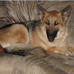 EdCinder99's profile picture. 