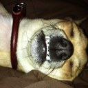 Chris Riggs - @RiggsBucaniner - Twitter