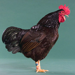 timss13's profile picture. 