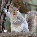 nathan ray bain - @nate_bain - Twitter