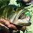 allwaterguides's profile image
