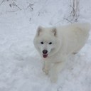 chris detweiler - @detfam5 - Twitter