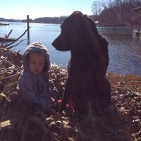 benjamin rhodarmer (@rhodarmer20) 's Twitter Profile Photo