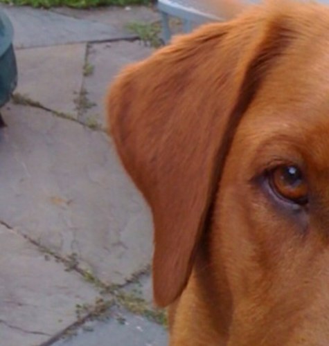 Joe_Haberman's profile picture. 